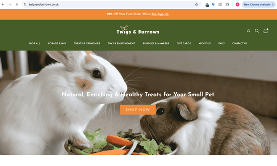 twigs and burrows home page